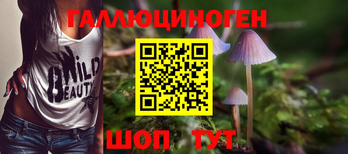 Псилоцибиновые грибы Cubensis Камышлов